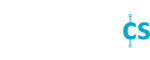 Heuristics Logo